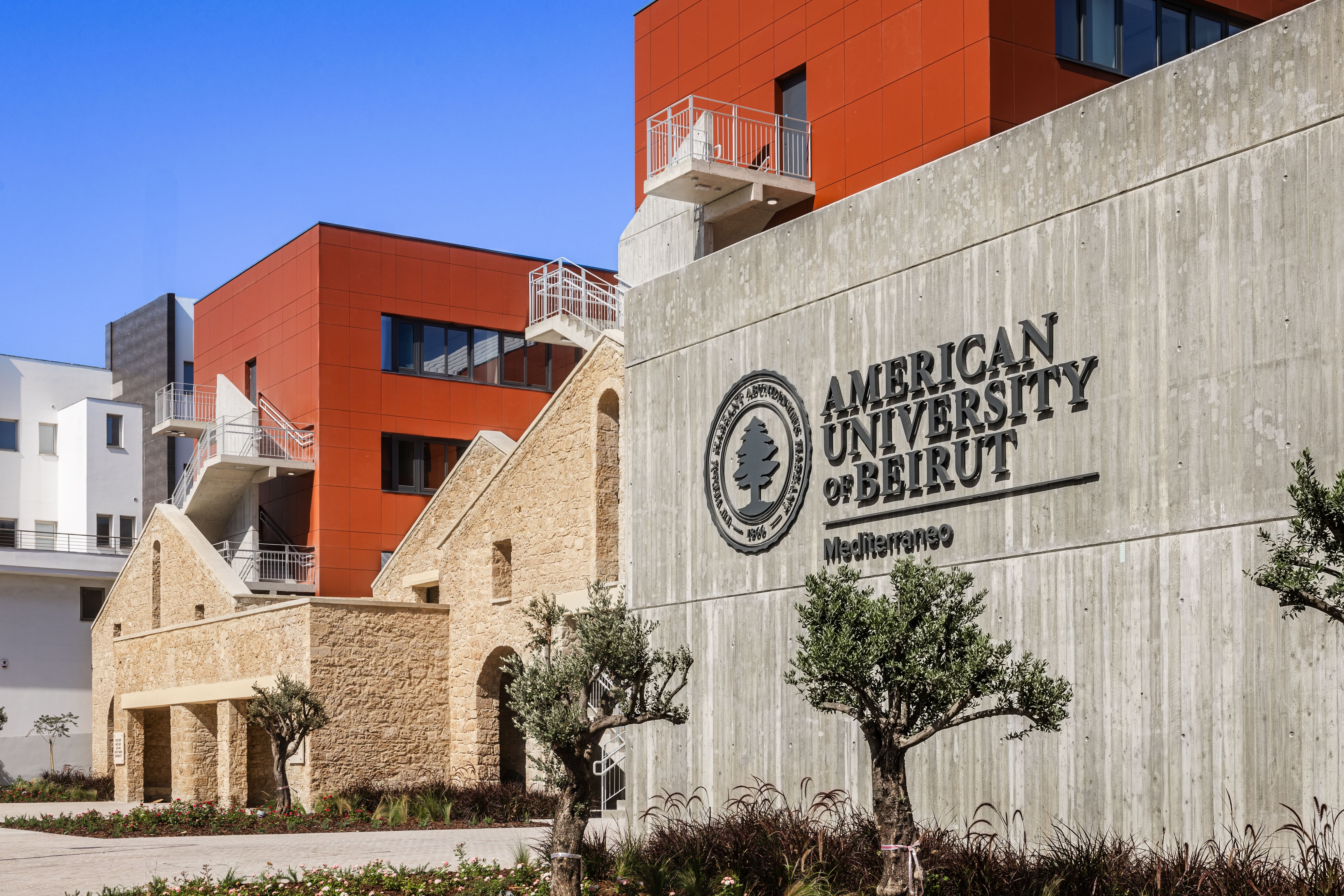 Medical illustration