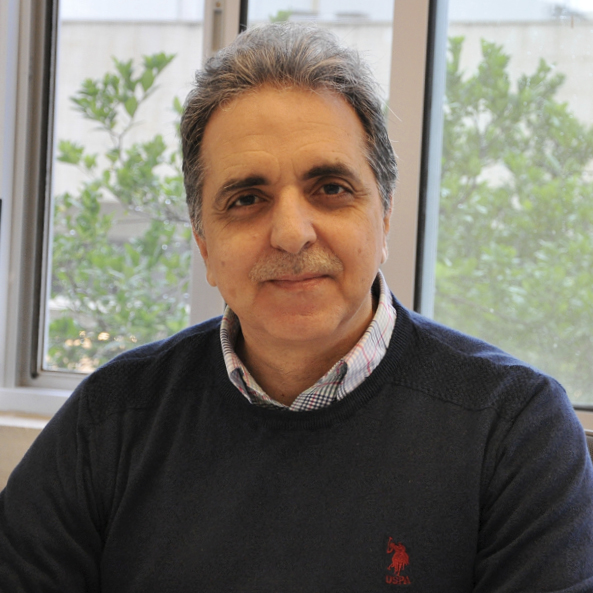 Portrait of Dr. Salah Sadek, Dean of the Faculty of Engineering