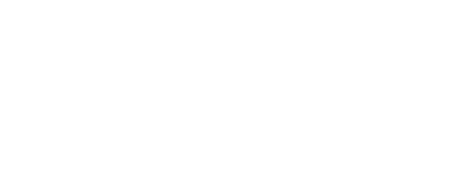 AUB Mediterraneo